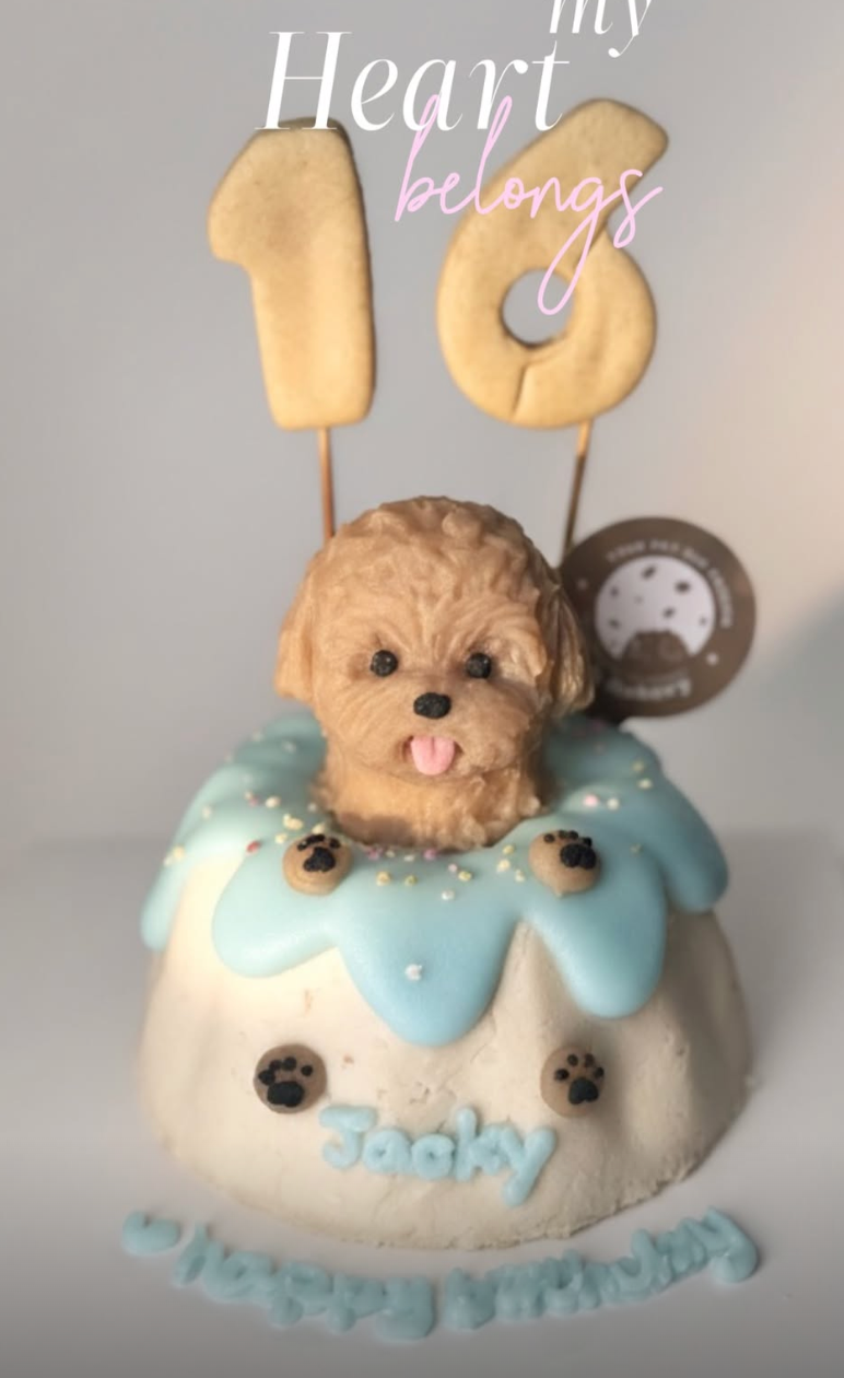 立體造型腳仔蛋糕