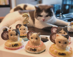 迷你造型 Pupcake