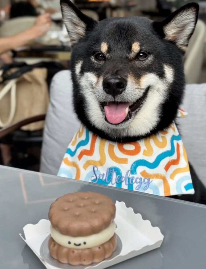 Kumoji Mini Cake 寵物西餅