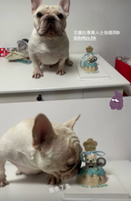 立體造型腳仔蛋糕