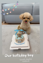 立體造型腳仔蛋糕