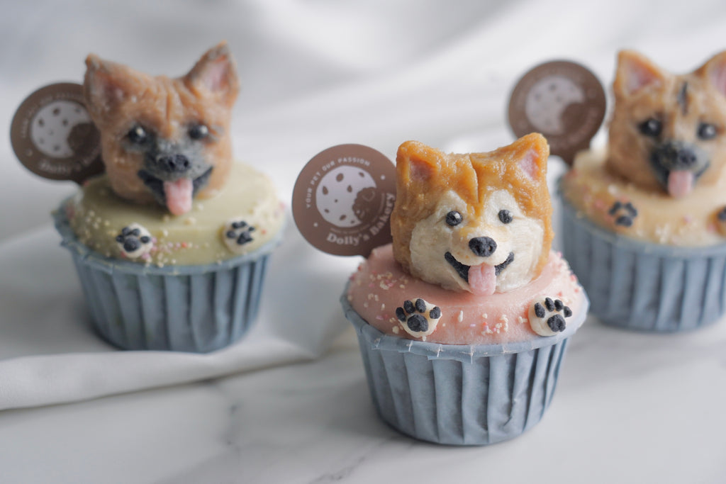 迷你造型 Pupcake