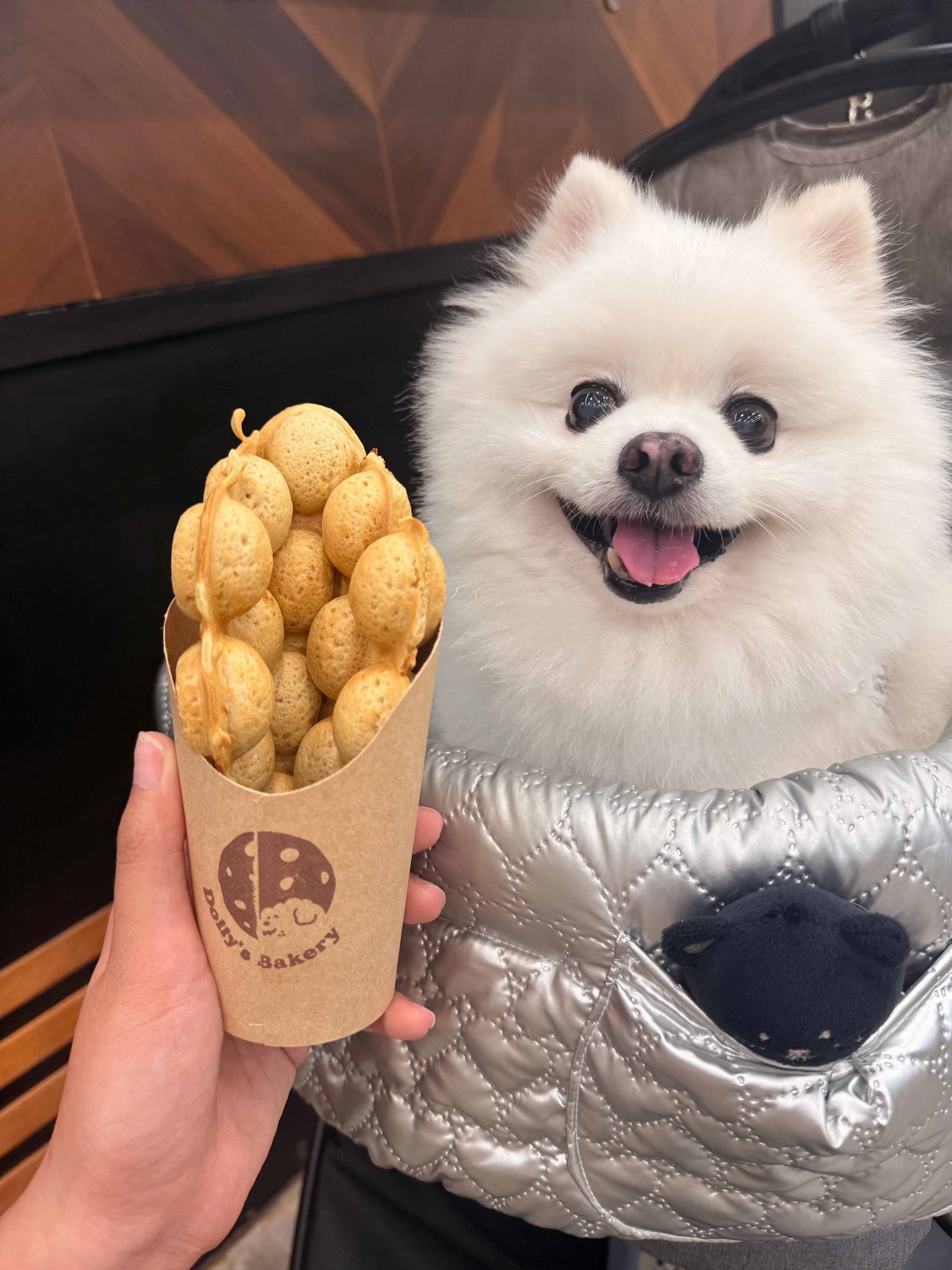 寵物雞蛋仔